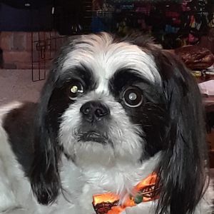 Meet your Posher, Melanie